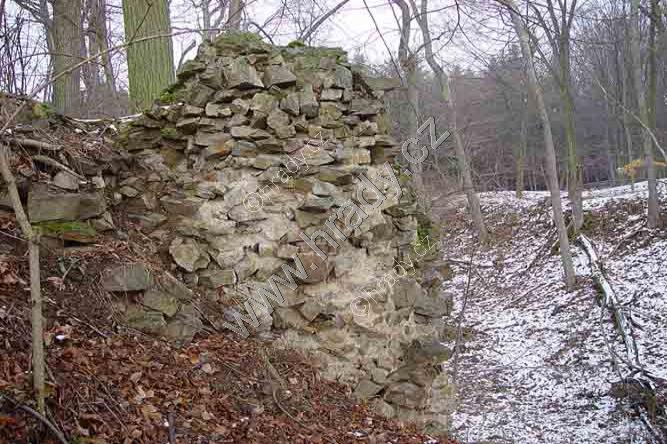 Bukovina Bukovina