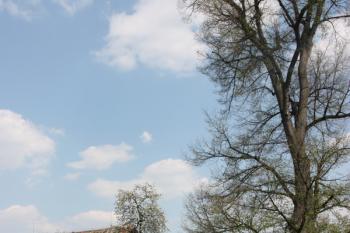 Severovýchodní kout návsi s památnou lipou ( © Ivan Grisa 04/2011)