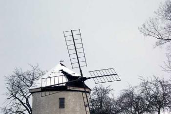 Větrný mlýn na Větřáku, pohled z J (zima 5765) (© George Párátko, 03/2005)