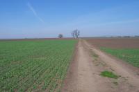 kaplička sv. Jana Nepomuckého