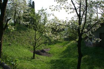 Hradní příkop ( © Petr Nožička 04/2011)