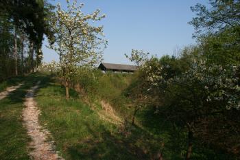 Příkop ( © Petr Nožička 04/2011)