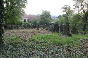 Východní část hřbitova s druhotně vztyčenými náhrobky ( © Ivan Grisa 04/2011)