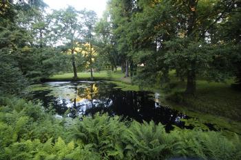 Rybník v uzavřeném areálu zámku. ( © Luděk Vláčil 07/2016)