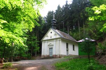  (© Zdeněk Skalický, 05/2007)