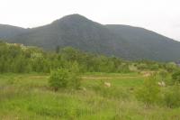 Jezerka