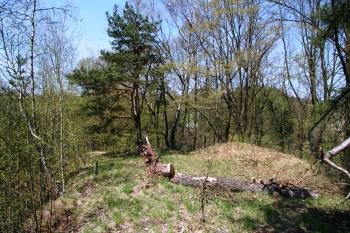 Část hradiště oddělená železnicí ( © Petr Nožička 05/2011)