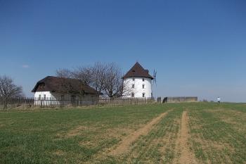 od silnice (© Anna Hladíková, 06/2012)