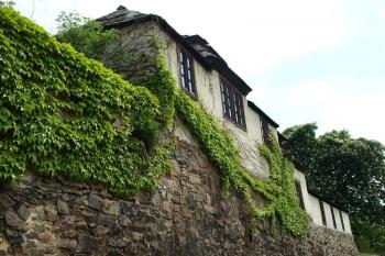  ( © Milan Caha 05/2011)