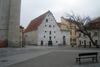 (© Jiří Suchomel, 01/2009)