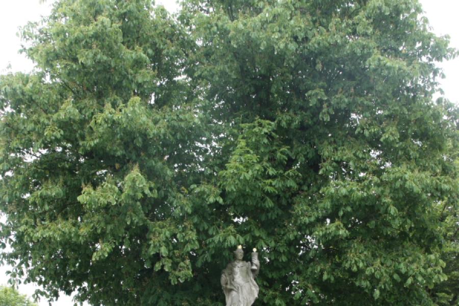 socha sv. Barbory