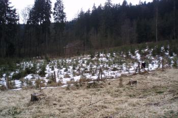  (© Jan Švejkar, 02/2011)
