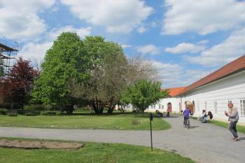 Park na nádvorní straně ( © Dušan Dohňanský 06/2019)