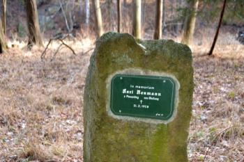 Neumannův pomníček nedaleko elektrárny  (© Daniel Šmidrkal, 01/2015)