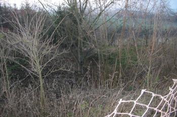 sv.příkop, vlevo jádro tvrze (© D Dohňanský, 01/2016)