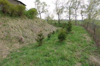 Příkop na západní straně ( © Roman Řezáč 05/2005)