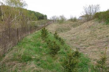 Příkop na západní straně ( © Roman Řezáč 05/2005)
