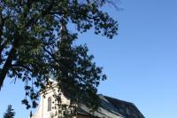 kostel sv. Maří Magdaleny