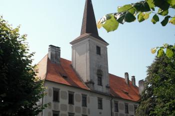  (© Nikola Mildová, 07/2013)
