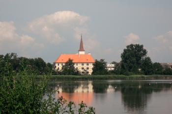  (© Nikola Mildová, 07/2013)