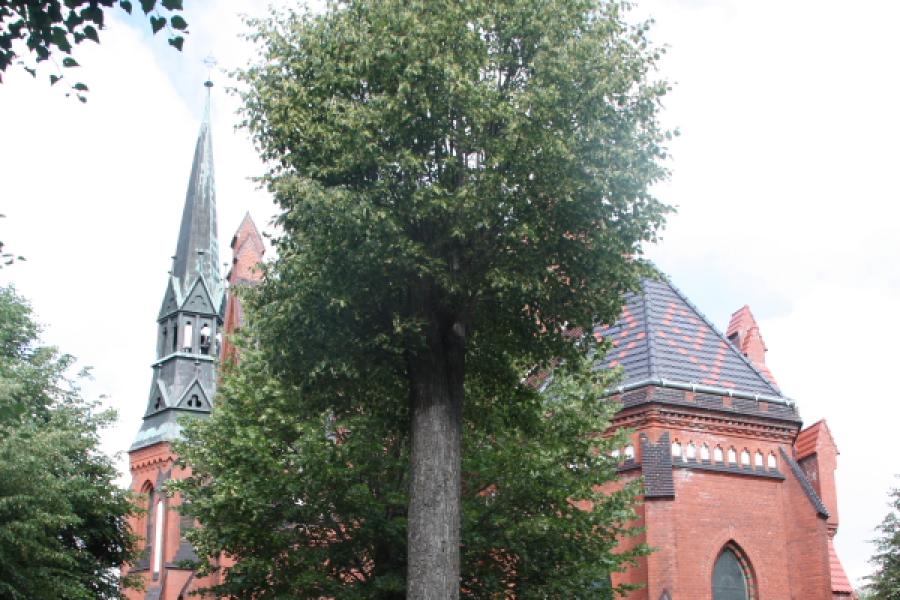 kostel sv. Josefa