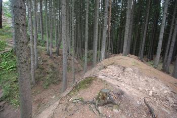 příkop (© Luděk Vláčil 08/2019)