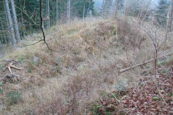 Pohled z místa východní věže do východního příkopu (© Dušan Dohňanský 01/2021)