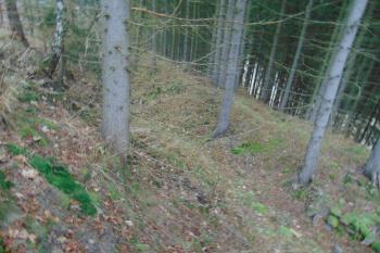 Severní příkop předsunutého opevnění (© Dušan Dohňanský 01/2021)