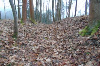 Mělký příkop mezi předsunutým opevněním /vlevo/ a vlastním hradem /vpravo/ (© Dušan Dohňanský 01/2021)