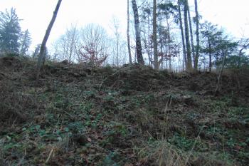 Severní parkánová zeď  (© Dušan Dohňanský 01/2021)