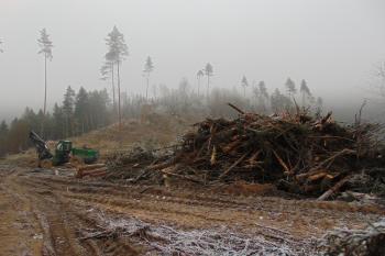Kalamita v předpolí (© Dušan Dohňanský 01/2021)
