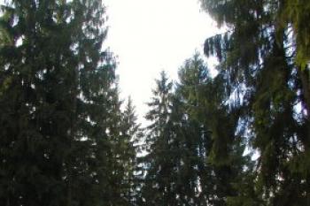 Aueršperk (2003 ©Martin Klimánek)