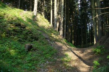 Aueršperk - hradní příkop (© Pavel Jarý, 09.08.2009)