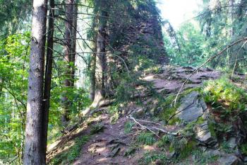 Aueršperk - zřícenina hradu (© Pavel Jarý, 09.08.2009)