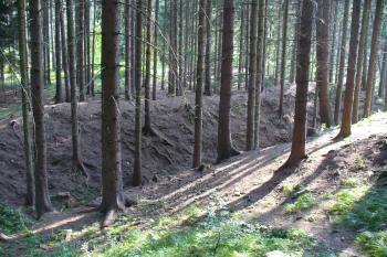 Aueršperk - příkop (© Pavel Jarý, 09.08.2009)