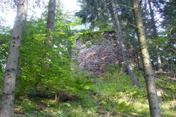 Aueršperk - pohled na zříceninu od turistické stezky (© Pavel Jarý, 10.08.2009)