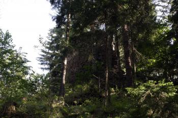 Zbytky válcového bergfritu od přístupové cesty ( © Iva Spurná 26.9.20099)