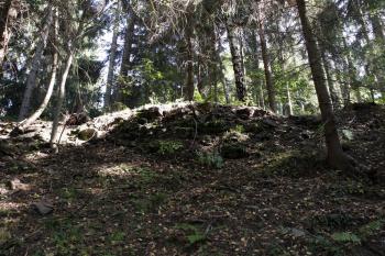 Zbytky opevnění jádra ( © Iva Spurná 26.9.2009)