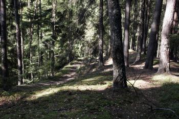 Cesta pokračující pod hradem k řece ( © Iva Spurná 26.9.2009)