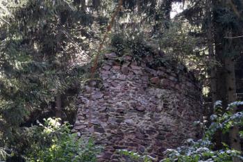 Zbytek bergfritu z prostoru nádvoří ( © Iva Spurná 26.9.2009)