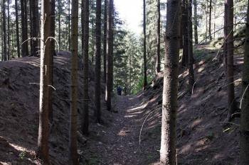 Vyústění příkopu na současnou (a snad i původní) přístupovou cestu ( © Iva Spurná 26.9.2009)