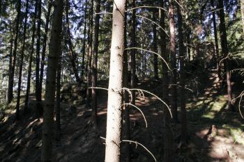 Svažující se hradní jádro (bergfrit zcela vpravo nahoře) ( © Iva Spurná 26.9.2009)