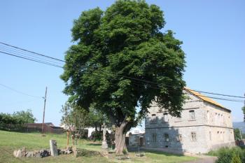 Celkový pohled na prostor studny od východu ( © Ivan Grisa 06/2011)