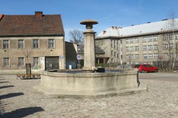  ( © Milan Caha 03/2011)