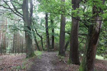 Pohled od červené turistické značky ( © Ivan Grisa 06/2011)