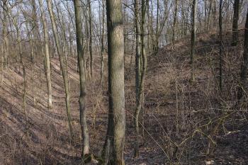 val, příkop a zdvihající se hradní jádro (© Aleš Novák, 03/2011)