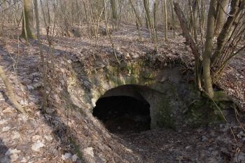 sklepy na místě zámku a provozních budov (© Aleš Novák, 03/2011)