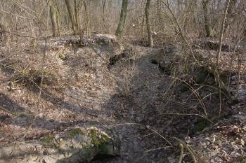 sklepy na místě zámku a provozních budov (© Aleš Novák, 03/2011)
