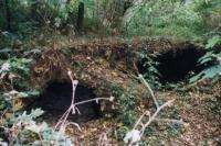 Kuncberk