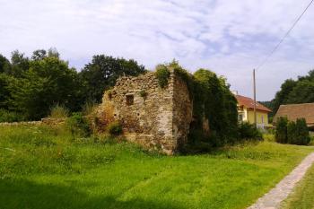 relikty tvrze  ( © Ondřej Štěpánek 07/2013)